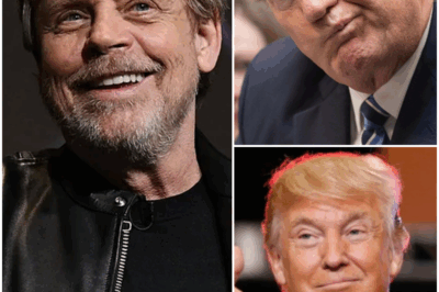 ‘FORCE’ FIELD: ‘Star Wars’ legend Mark Hamill admits he thought twice about leaving the United States after President Trump won the 2024 election. The outspoken liberal actor argued the second Trump term “could actually be the end” of America’s preeminent position on the world stage.