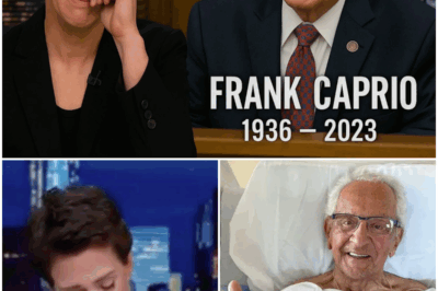 Rachel Maddow in Tears as Judge Frank Caprio, the “Compassionate Judge,” Passes Away at 88 — A Legacy of Justice and Humanity