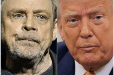 Mark Hamill told his wife they were leaving the U.S. because of Donald Trump: “She said, ‘I’m surprised you would allow him to force you out of your own country.’ That son of a bitch, I thought. I’m not leaving.”