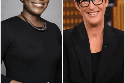 Joy Reid said she earned $3M a year for The ReidOut while Rachel Maddow cashed in $30M at the same network… all while Joy delivered stronger ratings than some of her male peers. Obviosly, she pointed to race and gender as reasons for the gap.