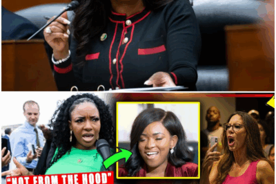 From the Texas mob calling her a fake, to Benny Johnson’s cruel comments, to her own words at Al Sharpton’s event — this article has DESTROYED Jasmine Crockett’s entire image.