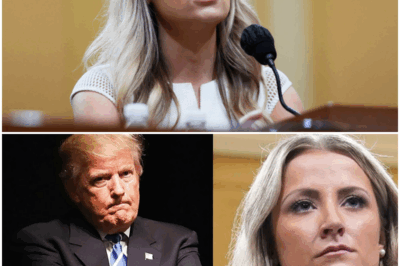 Ex-Trump aide reveals TRUTH about Trump’s late-night posts