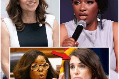 Republican Has A MELTDOWN After Jasmine Crockett CALLED OUT Her Lies… Most BRUTAL Takedown