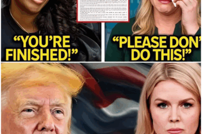 “The Price of Looking Down on Black People”: Karoline Leavitt CANCELED After Jasmine Crockett SUES Her for $80M for INSULTING – A Political Firestorm Unleashed…