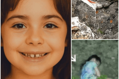 Girl Disappeared On A Hiking Trip, 4 Years Later What Was Found Still Shocks Researchers To This Day…