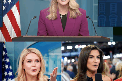 “Karoline Leavitt’s Epic Shutdown: NBC Reporter Stunned by ‘Ridiculous’ Question!”