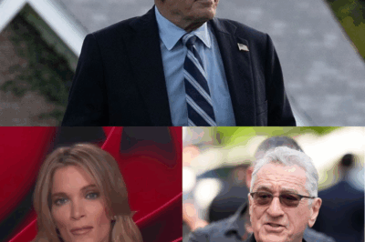 “Robert De Niro’s Bold Comeback: The Eight Words That Stunned Megyn Kelly and Redefined the Interview!”