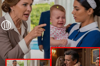 A Shocking Revelation: How a Maid’s Loyalty Revealed a Millionaire’s Hidden Truth