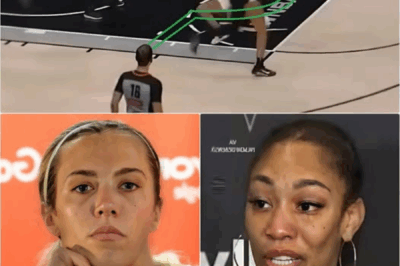 A’ja Wilson Accused of Attacking a Fever Opponent on the Court—Is This a Career-Defining Moment or a Misunderstanding That Could Shatter Her Legacy in WNBA History? ⚡️😱