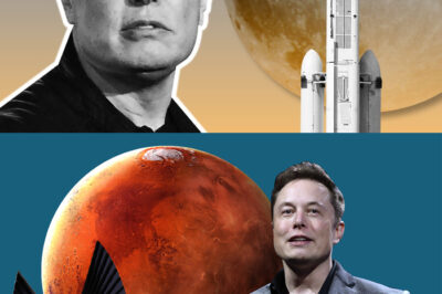 Monica “Shocking Revelation”: Elon Musk’s Alleged Contact with Aliens Since 2018 Unveiled by SpaceX Engineers, Sparking Speculation About Potential Collaborations and Hidden Technologies, While Industry Veterans Weigh In on the Implications of This Extraordinary Claim That Could Change Our Understanding of Space Exploration and Humanity’s Place in the Universe Forever!