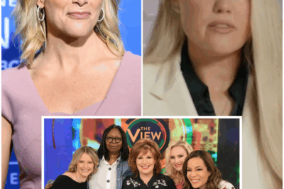 ABC Replaces The View With The Charlie Kirk Show, Hosted by Erika Kirk and Megyn Kelly: “It’s Done”