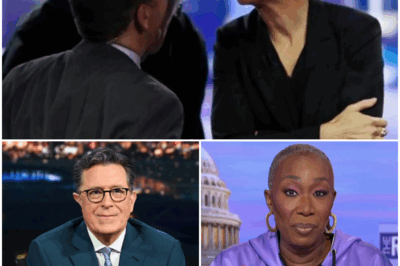 MEDIA REVOLUTION IGNITES: “The Maddow Project” Launches—NO Bosses, NO Scripts, NO Limits!