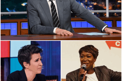 MEDIA REVOLUTION IGNITES: “The Maddow Project” Launches—NO Bosses, NO Scripts, NO Limits!