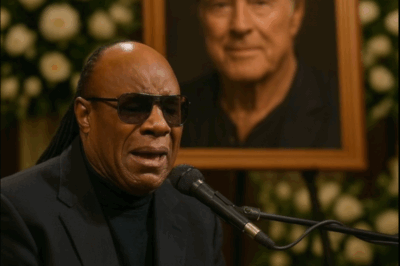 The Final Song of Farewell: Stevie Wonder’s Tribute to Robert Redford