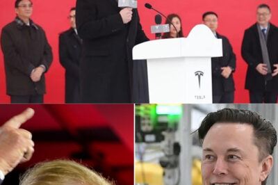 “Elon Musk’s Shocking Decision to Fire 2,000 Employees Over Viral Charlie Kirk Death Joke Sparks Outrage and a Heated Legal Battle Over Free Speech Rights—What This Means for Corporate Responsibility!”