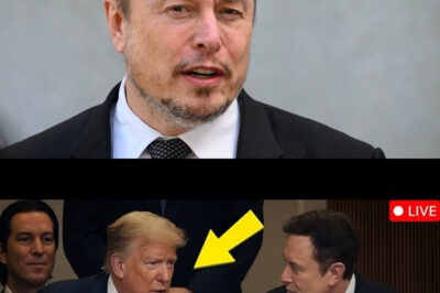 Elon Musk Shocks the World by Funding a Multi-Million Dollar Documentary Celebrating Charlie Kirk—What Surprising Insights and Controversial Perspectives Will This Groundbreaking Film Reveal About Politics, Activism, and the Future of American Discourse?