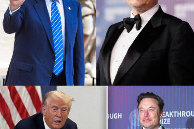 “Live Drama Unfolds: Karoline Leavitt Labels Elon Musk a ‘Billionaire Troublemaker’ — The 7-Word Response That Left the Live Set Silent and Viewers on Edge, Sparking Controversy and Debate About Musk’s Impact on Society and the Technology Industry, While Challenging the Boundaries of Celebrity Influence and Media Representation in Today’s Fast-Paced World!”