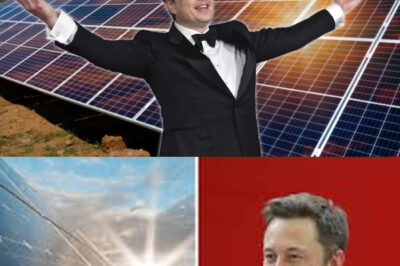 “Revolutionary Solar Islands Developed by Elon Musk’s Engineers: Floating Platforms That Follow the Sun to Maximize Energy Efficiency Even in Norway’s Cold, Cloudy Climate—Discover How This Cutting-Edge Technology Transforms Renewable Energy Generation!”