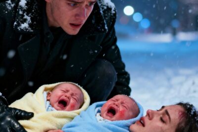 A Young Billionaire Rescues an Unconscious Girl Clutching Twin Babies in a Frozen Park.