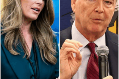 BREAKING: James Comey’s Bombshell Move to DISQUALIFY Prosecutor Lindsey Halligan Sparks Legal Firestorm, Claiming Her Appointment Was Flawed and Rendering All Actions in His Case INVALID! 🚨⚖️