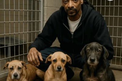 Snoop Dogg’s Heartwarming Journey: From Hip-Hop Icon to Reluctant Animal Advocate, Unveiling the Shocking Truth Behind His Love for Rescue Animals That Will Leave You in Tears! 🐾💔