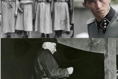 THE CREMATORIUM MONSTER’S LAST COWARDLY MOMENTS: Muhsfeldt – The psychopathic Nazi butcher who enjoyed burning prisoners alive at Auschwitz, leading to the deaths of thousands of innocent people.