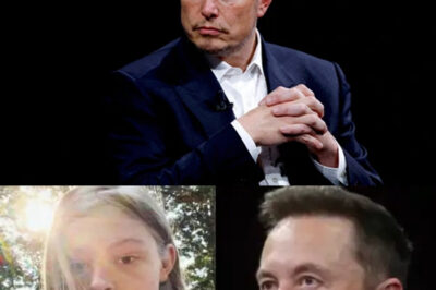SHOCKING REVELATION: How “Phillies Karen” Was Exposed at Elon Musk’s Company and His Intense Reaction That Could Determine Her Future—Is This the End of Her Career in Tech?