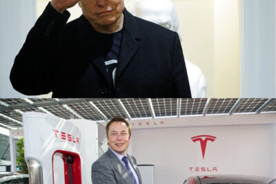 “Elon Musk’s Revolutionary Battery Design: Could This Groundbreaking Technology Really Power Entire Cities at Minimal Cost and Transform Global Energy Consumption Forever?”