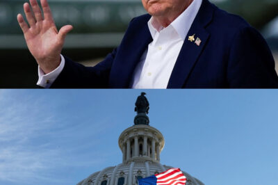 “Shocking U.S. Government Shutdown: Elon Musk Steps In with a Bold $50 Billion Plan to Save Federal Jobs — What Mysterious Message Did He Reveal That Left Lawmakers Reeling?”