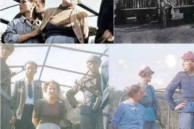 SIX MONSTROUS WOMEN PAY THE PRICE: The Last Screaming Moments of 6 Nazi Guards – “THE VILE WOMEN OF STUTTHOF” Who Made Victims Tremble at the Mere Mention of Them