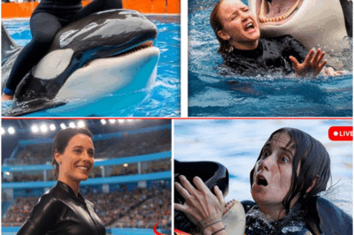 The TERRIFYING Last Moments of Orca Trainer Elena Vance