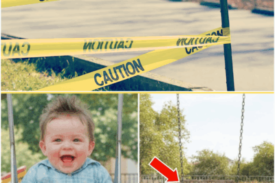 THE BOY WHO DISAPPEARED: A 73-YEAR MYSTERY THAT REFUSED TO DIE