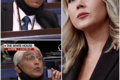 After Leavitt used a “your mom” joke to respond to a HuffPost reporter’s question about Trump’s meeting with Putin, the 28-year-old was met with backlash online, and accused of being “bratty” and “juvenile.”