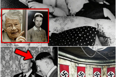 Before her death, Hitler’s nurse, Erna Flegel, finally revealed what really happened in the bunker, which sparked a terrifying obsession…