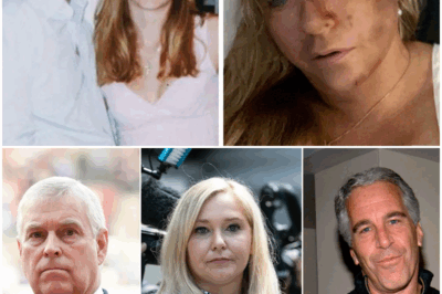 The Book They Tried to Bury: Inside the Manuscript That Shook the World’s Conscience