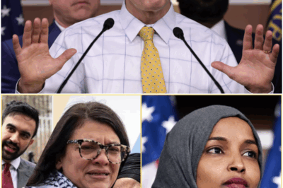 Jim Jordan’s “Born in the USA” Bill Could Redefine Who’s Allowed to…