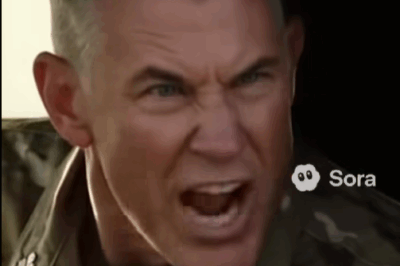 “Why aren’t you saluting me?” shouted Lieutenant