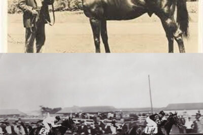 “The Unbelievable Final Tribute to Man o’ War: How America’s Most Celebrated Racehorse Became the First Embalmed Horse and Drew Thousands to a Historic Funeral in 1947”