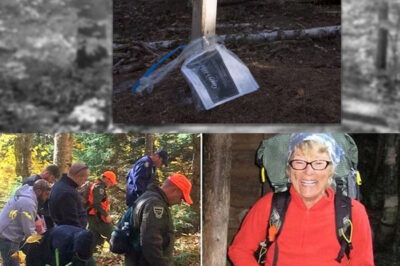 “Unraveling the Chilling Mystery of the Missing Woman on the Appalachian Trail: Found Hanging from a Tree One Year Later in a Discovery That Left Investigators Stunned and Searching for Answers!”