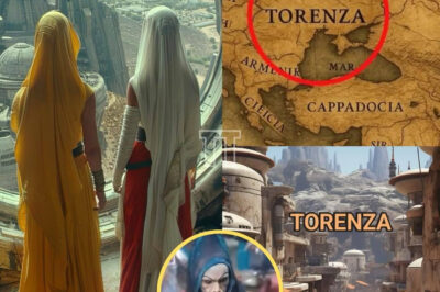DECODING THE MYSTERY: Ancient records reveal that “Torenza” existed before the Common Era: a lost civilization, erased from history, reappeared… twice.