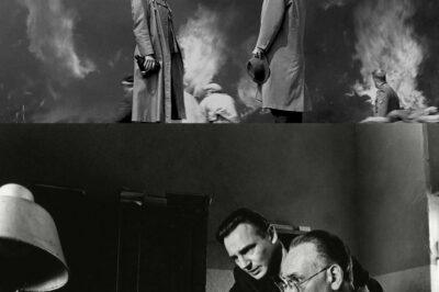 “When Laughter Became a Lifeline: How Robin Williams Pulled Steven Spielberg from the Abyss of Grief While Filming Schindler’s List, Transforming Heartbreaking Moments into Joyful Memories Through Unplanned Calls and Hilarious Skits That Reminded a Legend of the Power of Friendship and the Light That Can Shine Even in the Darkest Times of History”