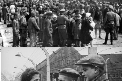 “The Chilling Silence of Auschwitz: How Soviet Soldiers Uncovered Unimaginable Horror, Fragile Survivors, and the Unbreakable Spirit of Humanity in the Face of History’s Darkest Atrocity”