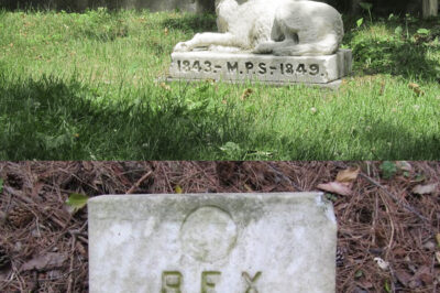 “Unearthing a Hidden Treasure: The Heartfelt Story Behind a Simple Dog Grave from 1941 That Reveals the Unbreakable Bond of Love and Loyalty Amidst the Turmoil of World War II, Offering a Timeless Reflection on the Human Spirit’s Capacity to Cherish and Honor Our Faithful Companions Even in the Darkest Times”