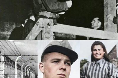 The incredible truth about Helena Citronová: the beautiful Jewish woman who miraculously survived the gas chambers of Auschwitz when an SS guard risked his life to save her.