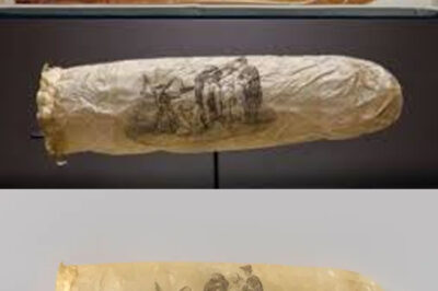 “Unveiling History: The Fascinating Story of the World’s Oldest Surviving Condom from 1640, Discovered in Lund, Sweden—Crafted from Pig Intestine, This 381-Year-Old Artifact Came with a Latin Owner’s Manual That Revealed Unique Washing Instructions in Warm Milk to Prevent Disease, Highlighting the 17th Century Perspective on Sexual Health and Contraception, and How It Challenges Our Modern Understanding of Condoms and Their Intended Use in an Era When They Were Primarily Viewed as a Means to Avoid Pregnancy.”