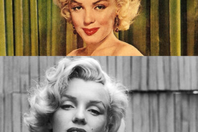 “Discover the Hidden Secrets of the Contents Above: What’s Waiting for You? Unexpected Details That Will Make You Rethink What You Already Know, Along with Unexpected Connections Between Memories, Taking You on a New and Inspiring Journey of Discovery!”