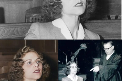 THE BEAUTIFUL JEWISH GIRL WHO SOLD HER SOUL TO THE NAZIS: Stella Kübler – The Hunter Nicknamed “BLONDE POISON” Who Betrayed and Hunted 10,000 of Her Own People for the Nazis.