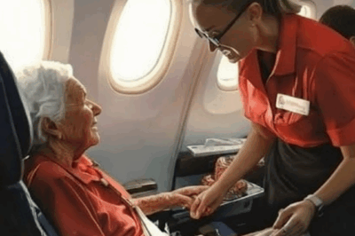 Flight Attendant Saved 62-Year-Old Business-Class Woman To reward her, she gave her a Christmas gift two years later.