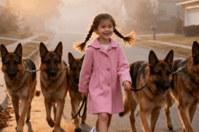 Every Morning, a Little Girl Walks Five Big Dogs — But There’s More to Her Story Than Meets the Eye