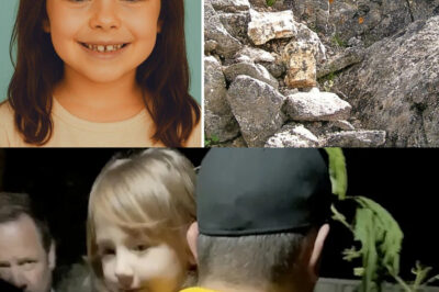 Four Years After a Young Girl Mysteriously Disappeared During a Family Hiking Trip, Investigators Are Still Shocked by What Was Discovered—What Unbelievable Truth Lies Behind Her Vanishing, and Why Do the Clues Found in the Wilderness Continue to Raise More Questions Than Answers? Explore the Chilling Details That Have Left Experts Puzzled, the Astonishing Evidence That Challenges Everything We Thought We Knew, and the Heartbreaking Mystery That Remains Unsolved to This Day. Could the Final Piece of the Puzzle Be Hidden Where No One Has Looked? The Story Will Leave You Questioning Everything.